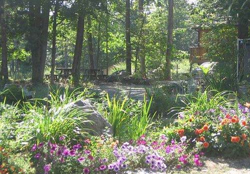 Dervish Center garden